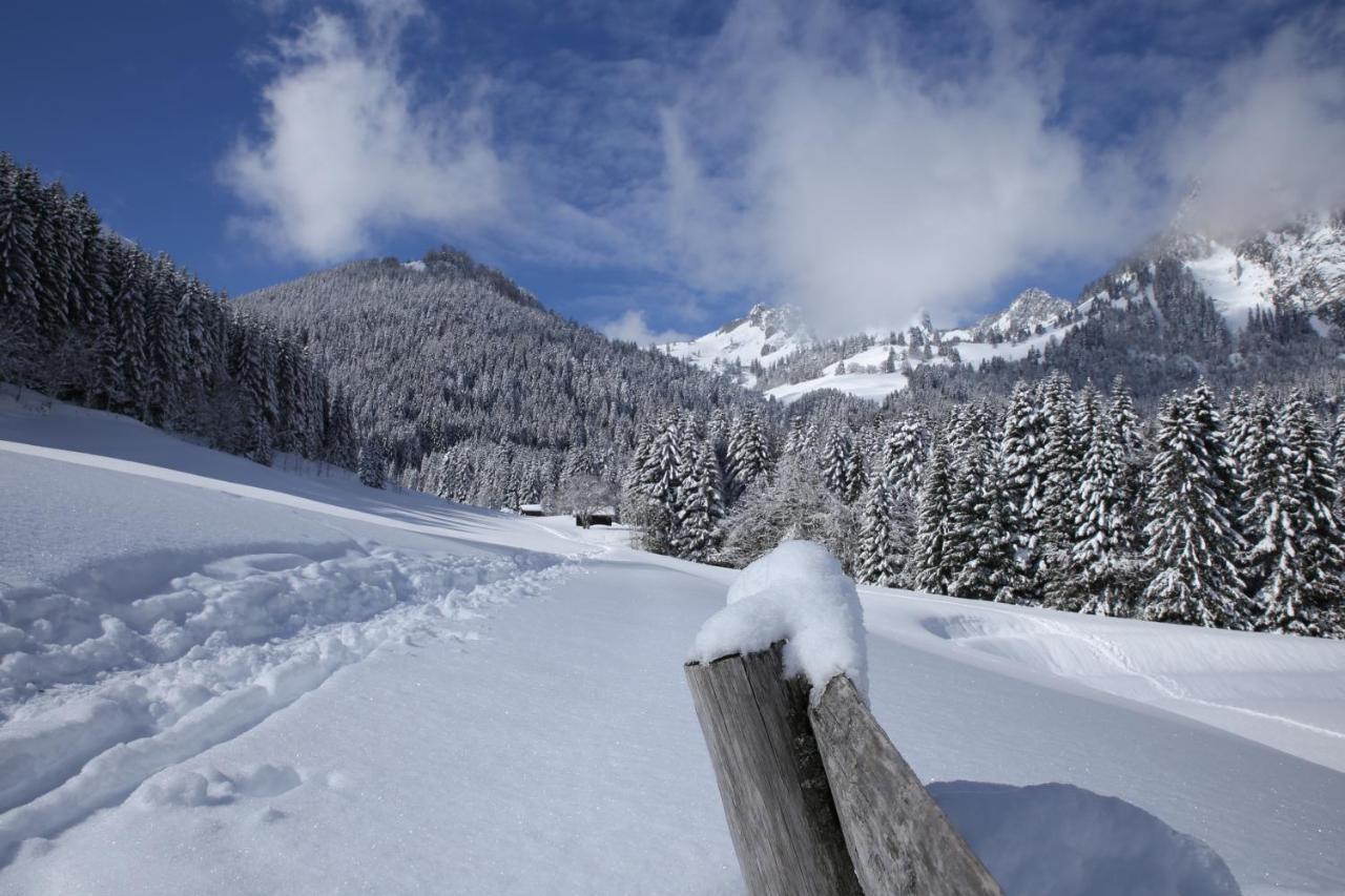 Heerlijke Wandel Of Ski Vakantie In Torgon Portes Du Soleil 外观 照片