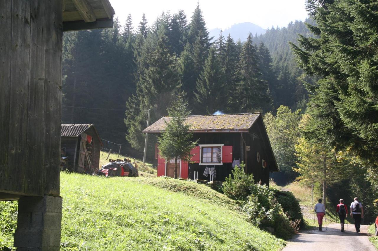 Heerlijke Wandel Of Ski Vakantie In Torgon Portes Du Soleil 外观 照片