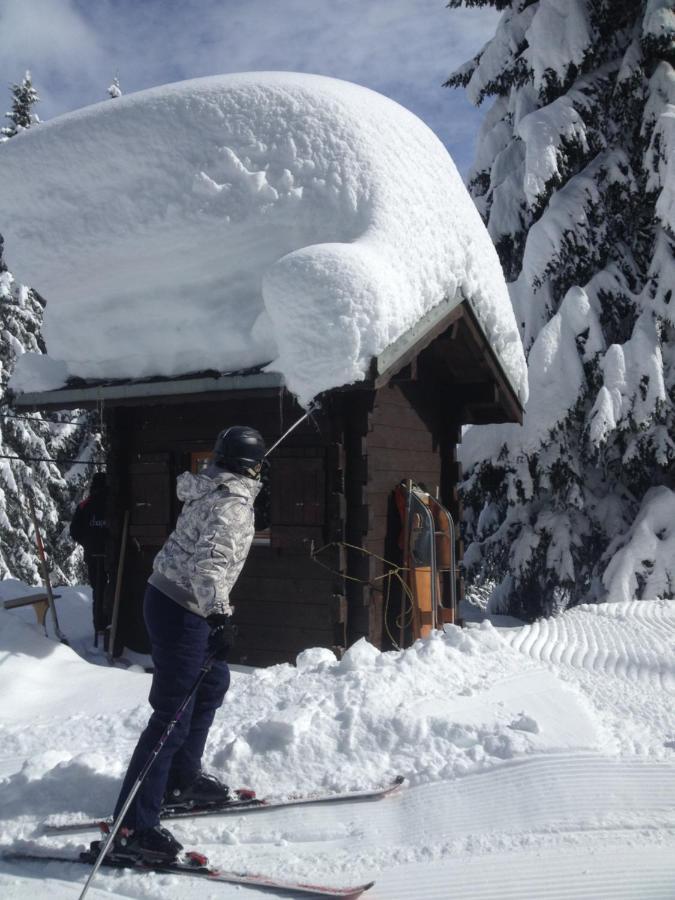 Heerlijke Wandel Of Ski Vakantie In Torgon Portes Du Soleil 外观 照片