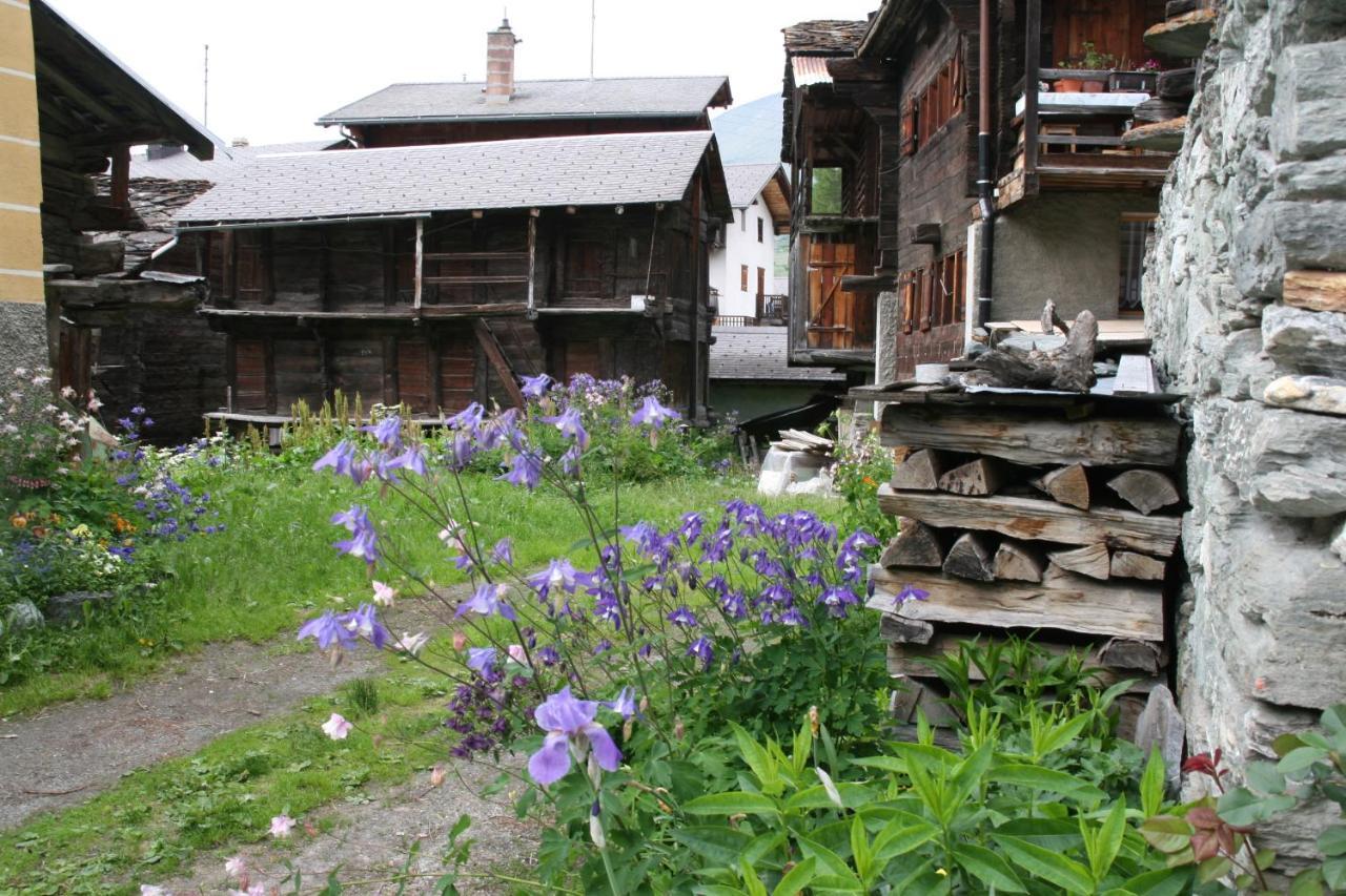 Heerlijke Wandel Of Ski Vakantie In Torgon Portes Du Soleil 外观 照片