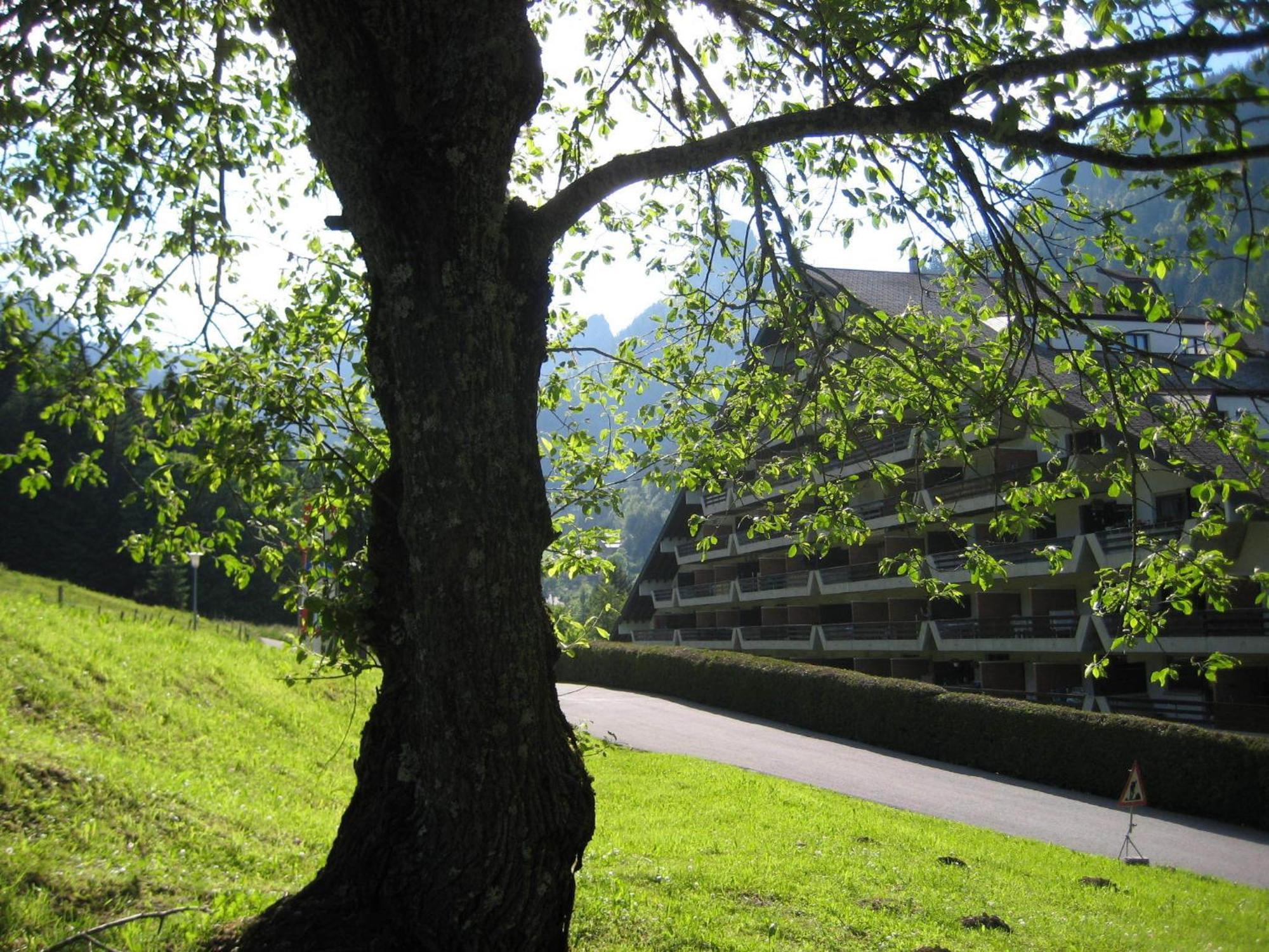 Heerlijke Wandel Of Ski Vakantie In Torgon Portes Du Soleil 外观 照片
